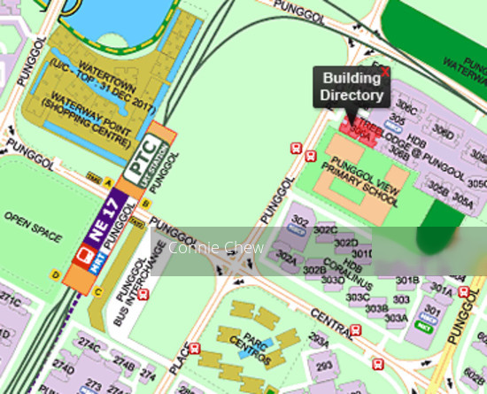 Blk 306B Punggol Place (Punggol), HDB 4 Rooms #117125942
